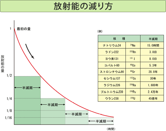 放射能の減り方