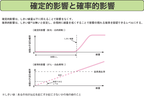 確定的影響と確率的影響