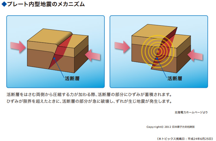 news007