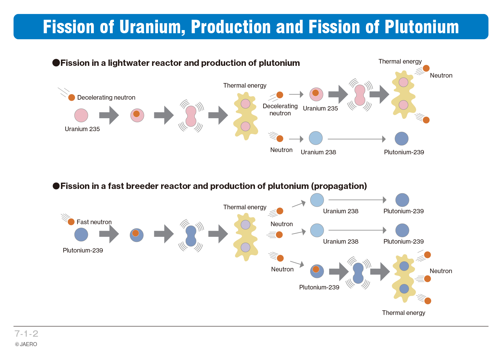Fission перевод. Деление плутония 239. Uranium 238 Uranium 235 and Plutonium 239. Образование плутония в реакторе. Распад плутония 239 схема.