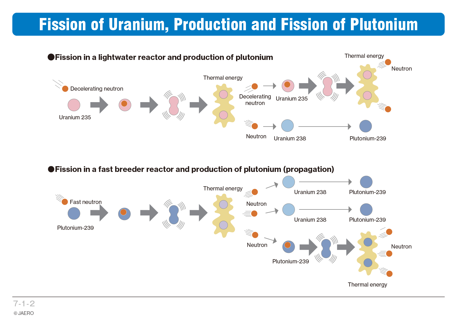 Результат распада плутоний 239. Деление плутония 239. Uranium 238 Uranium 235 and Plutonium 239. Образование плутония в реакторе. Распад плутония 239 схема.